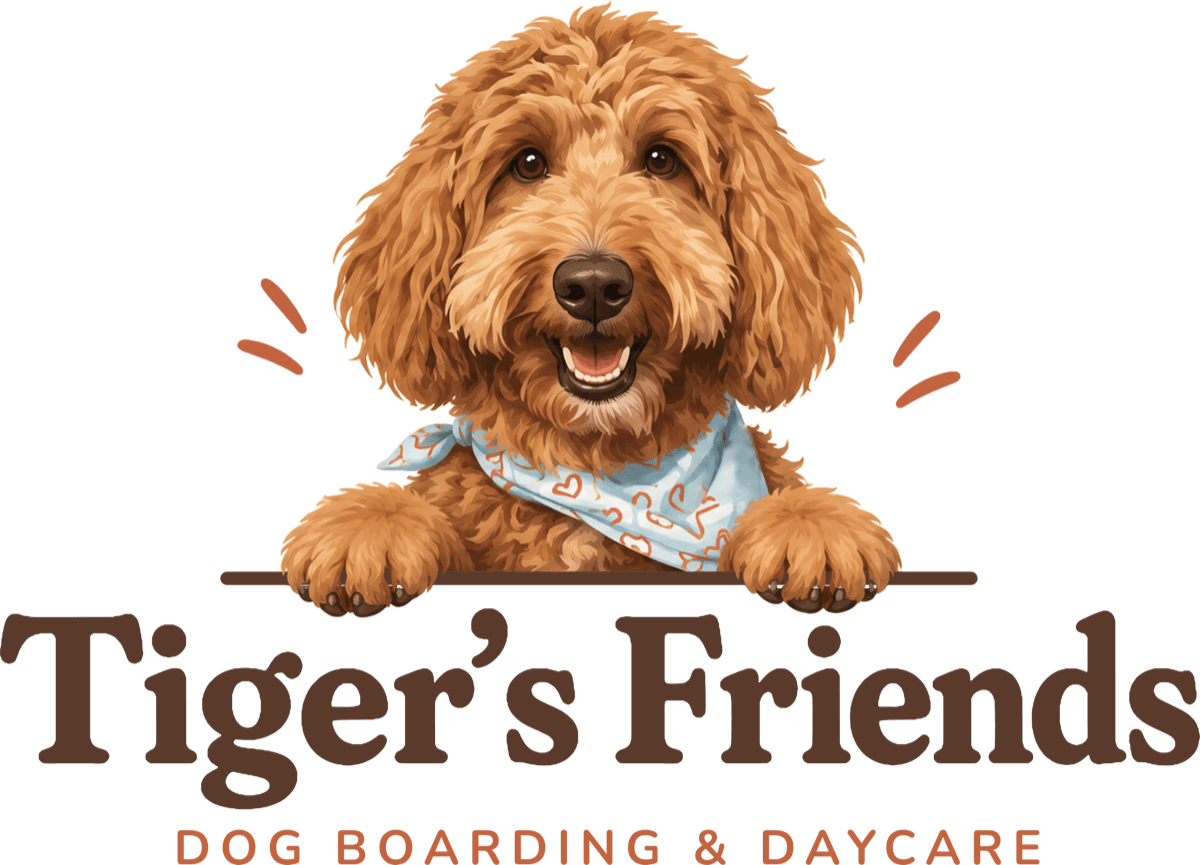 Tiger's Friends, Dog boarding & daycare